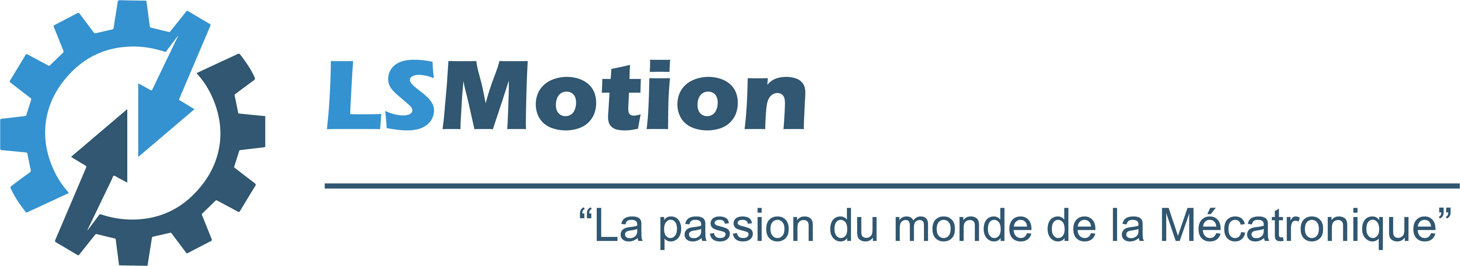 LSMOTION